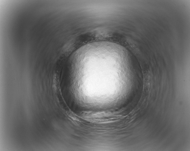 X0000067000519200604072152