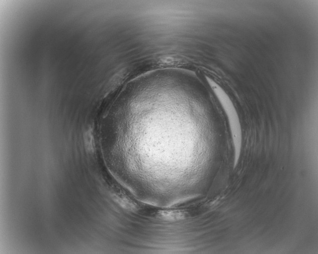 X0000067000520200604072152