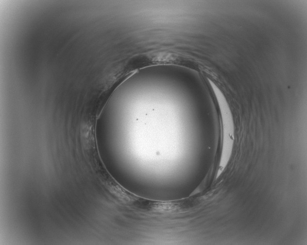 X0000067000521200604072152