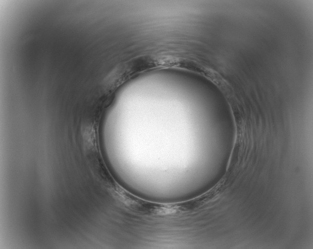 X0000067000523200604072152