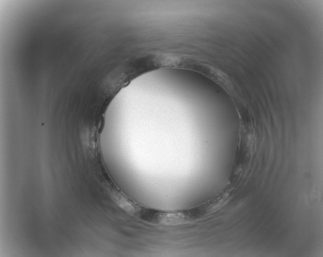 X0000067000525200604072152