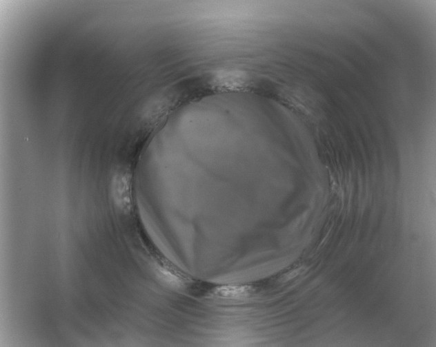 X0000067000526200604072152