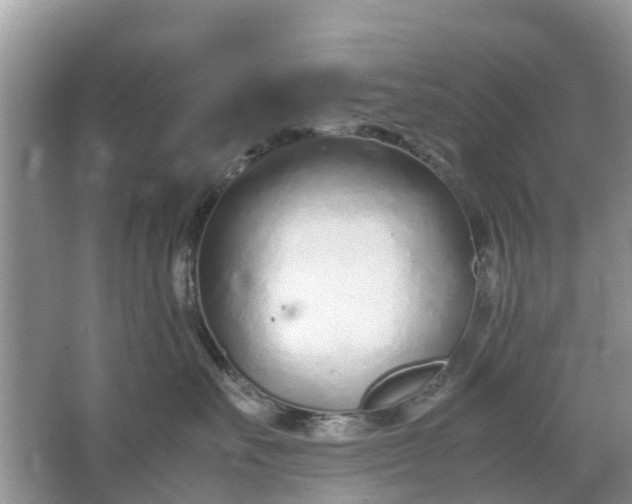 X0000067000527200604072152