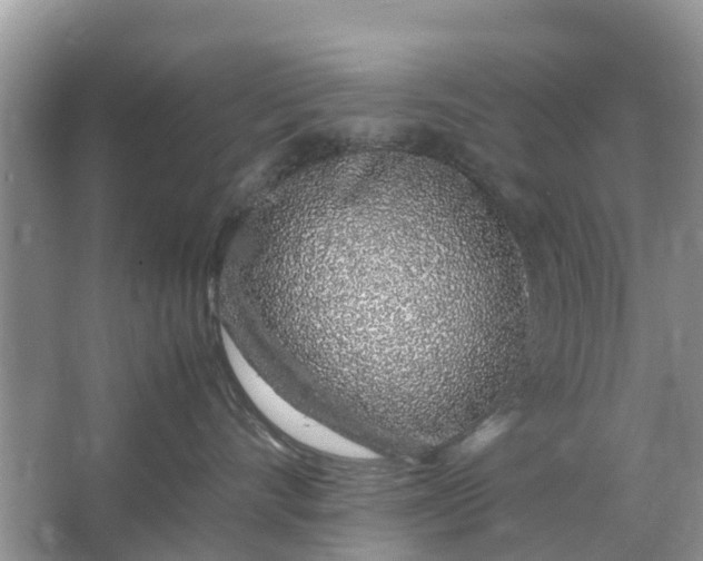 X0000067000528200604072152