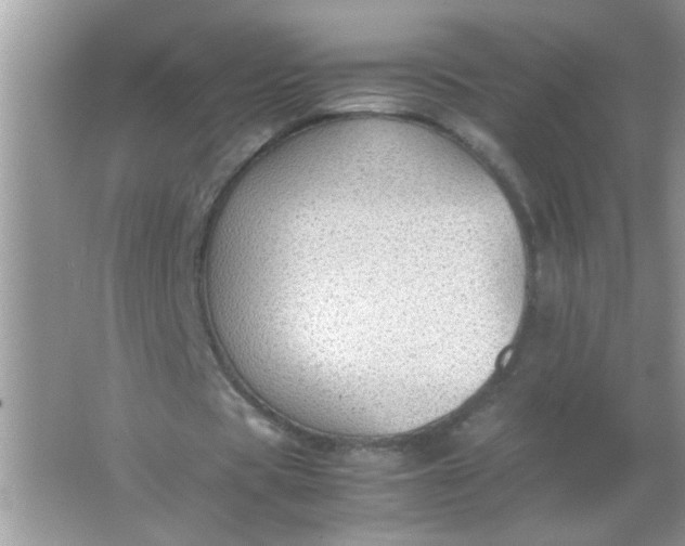 X0000067000529200604072151