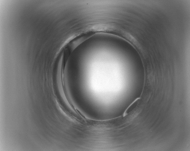 X0000067000530200604072151