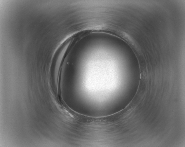 X0000067000532200604072151