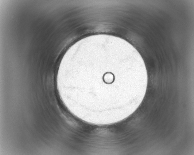 X0000067000534200604072151