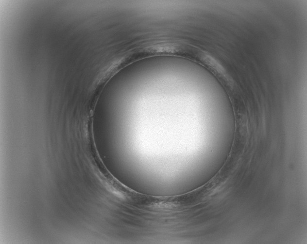 X0000067000537200604072151