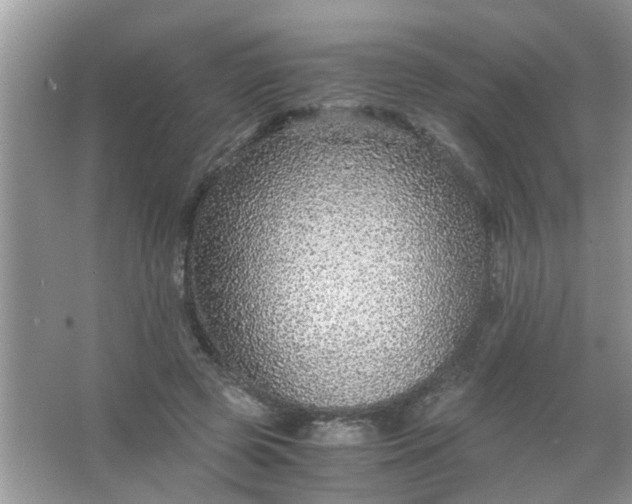 X0000067000545200604072151