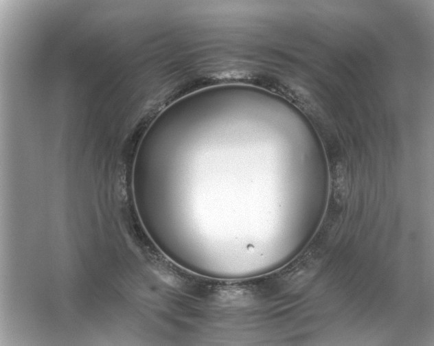 X0000067000547200604072152