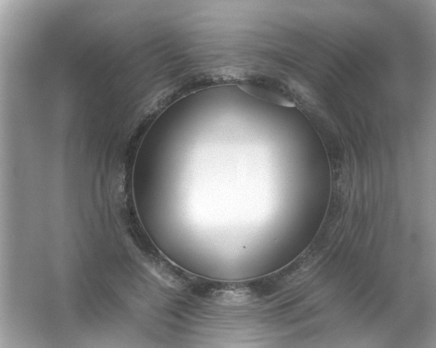 X0000067000548200604072152