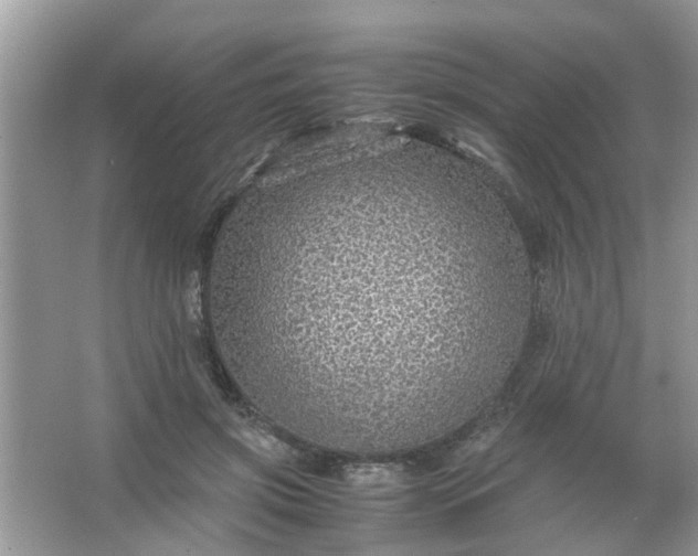 X0000067000549200604072152