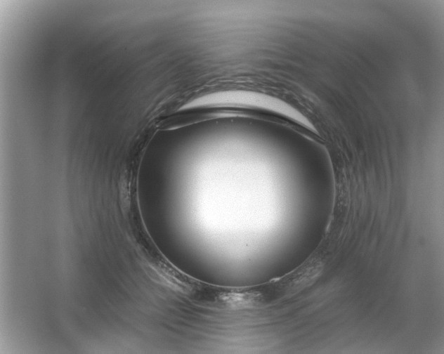 X0000067000558200604072152