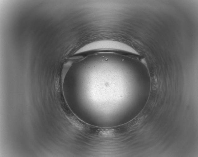 X0000067000560200604072152