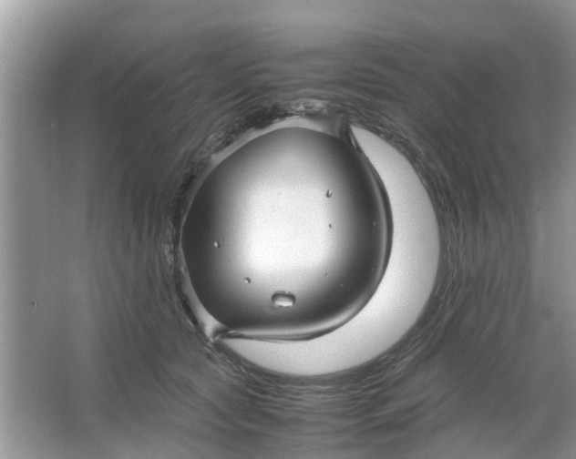 X0000067000561200604072152