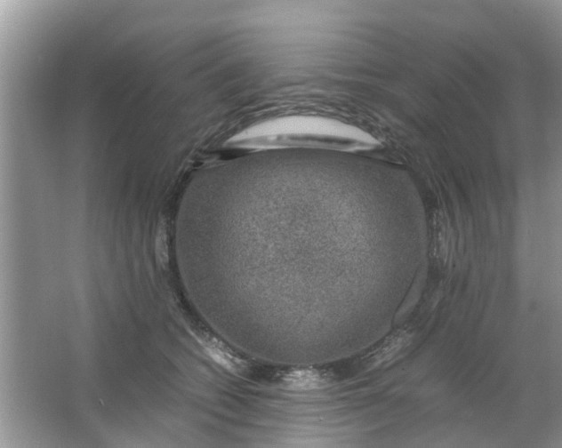 X0000067000562200604072152