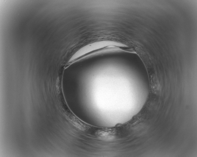 X0000067000563200604072152