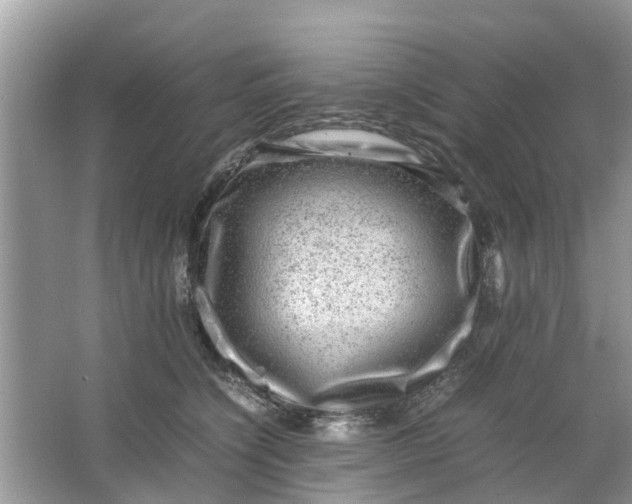 X0000067000564200604072152