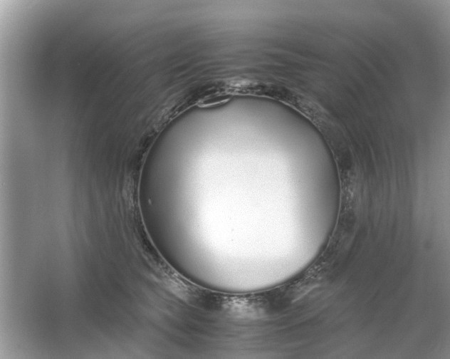 X0000067000565200604072152