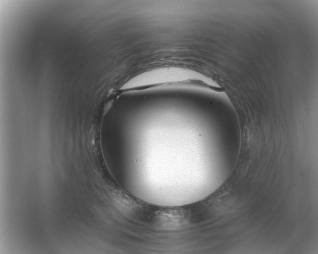 X0000067000567200604072152