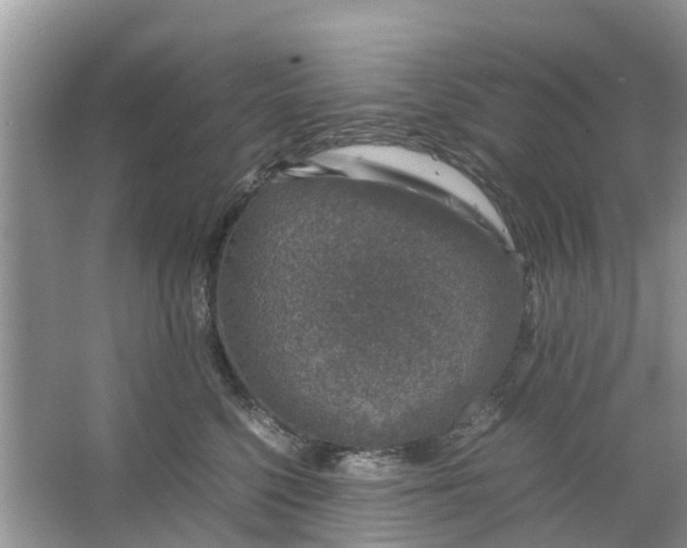 X0000067000568200604072152