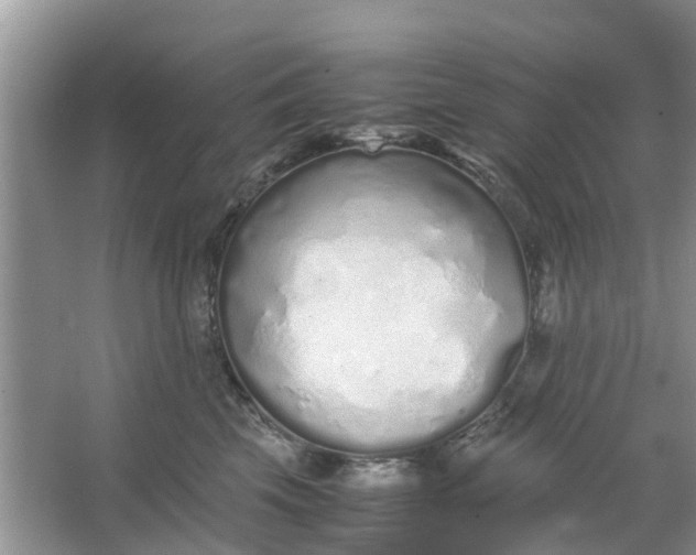 X0000067000569200604072152