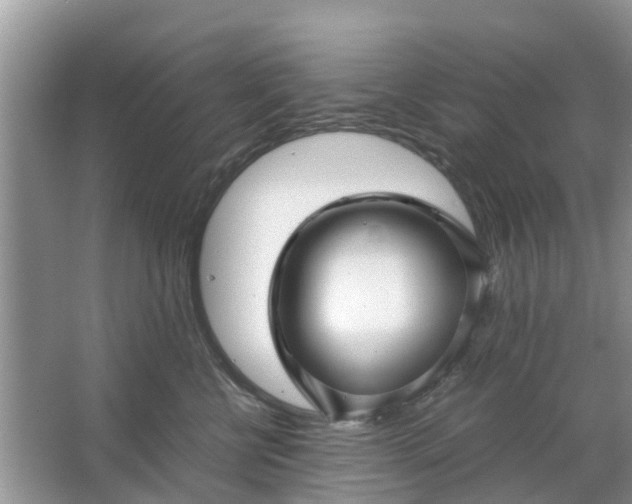 X0000067000570200604072152