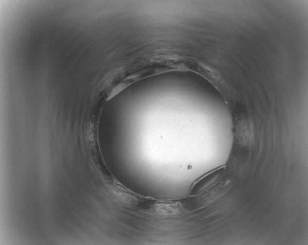 X0000067000571200604072152