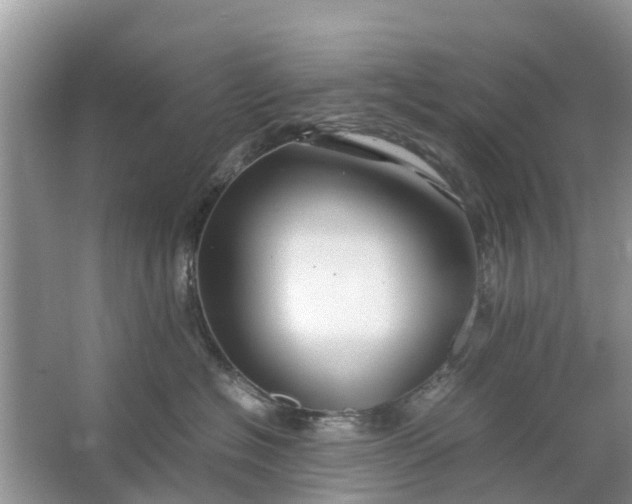 X0000067000574200604072152