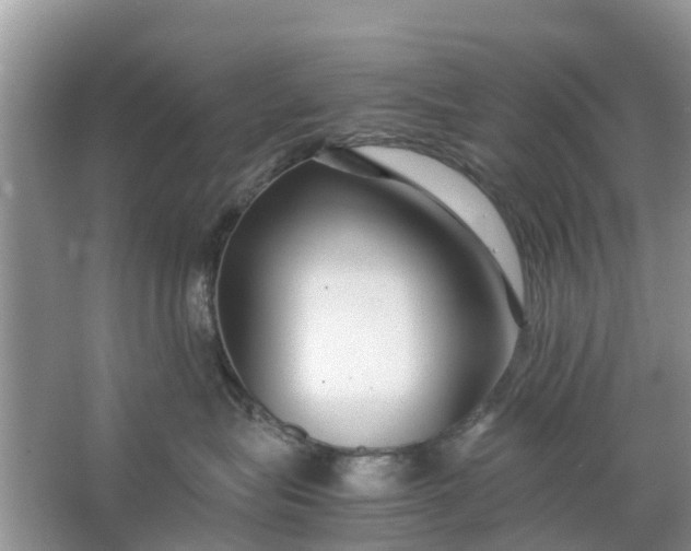 X0000067000575200604072152