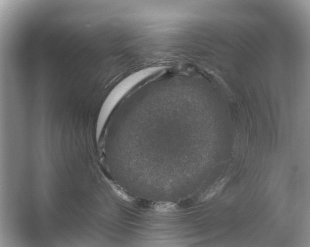 X0000067000576200604072152