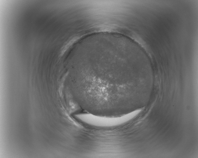 X0000067000577200604072151