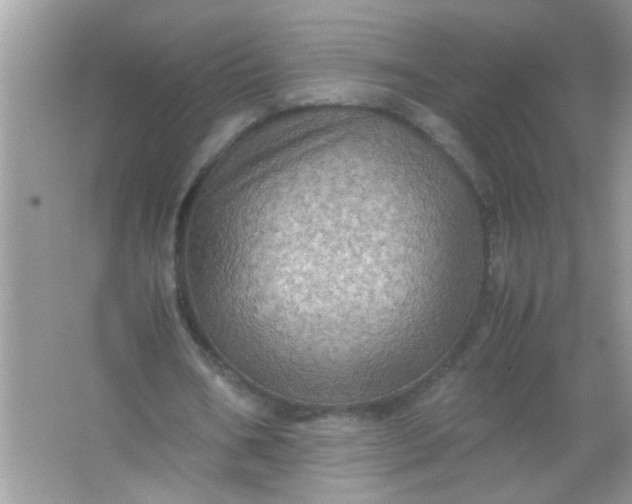 X0000067000578200604072151