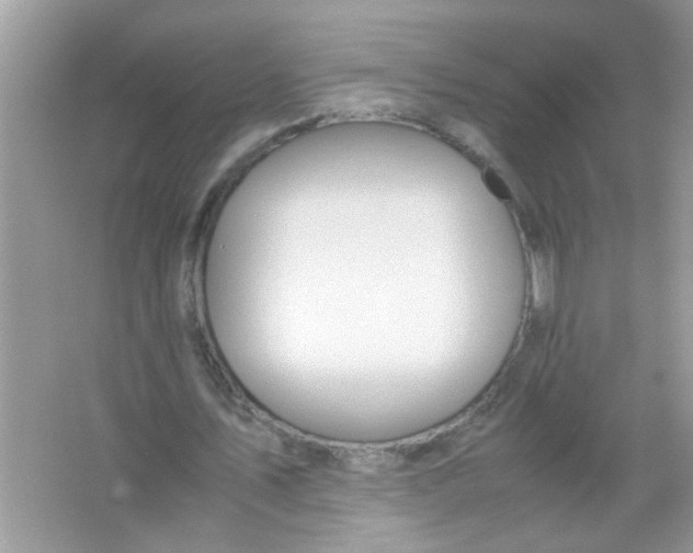 X0000067000579200604072151