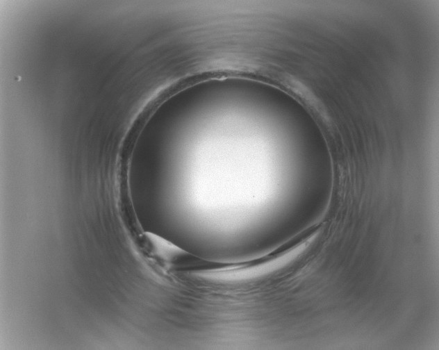 X0000067000580200604072151