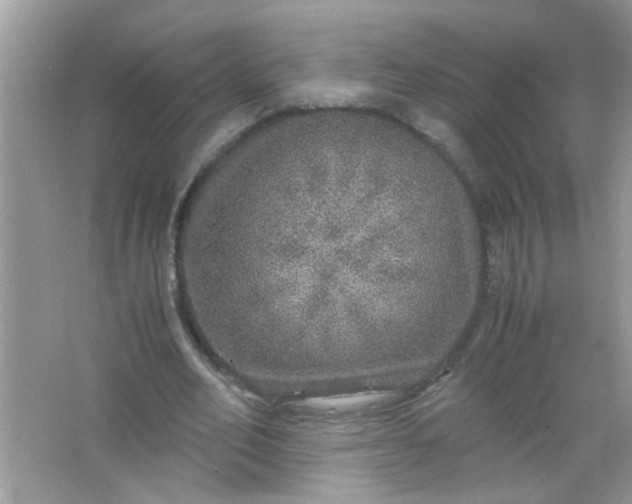 X0000067000582200604072151