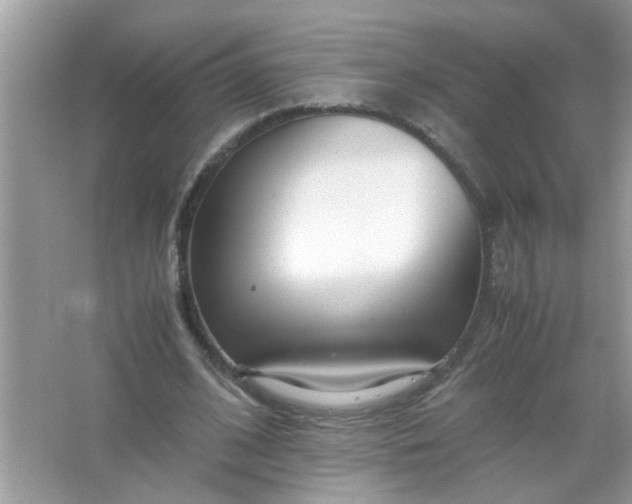 X0000067000584200604072151