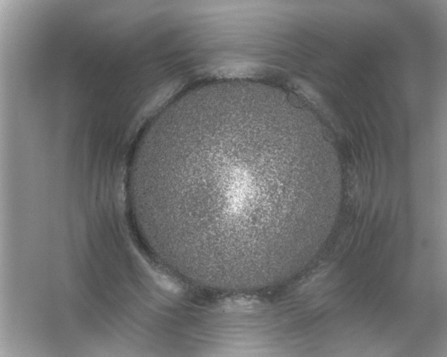 X0000067000586200604072151