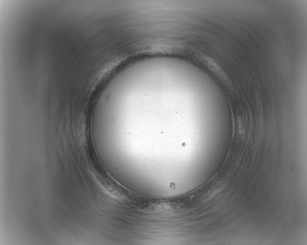 X0000067000588200604072151