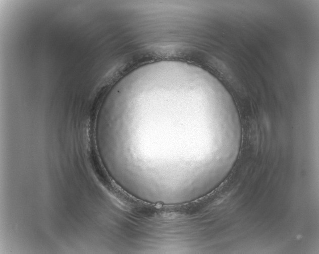 X0000067000590200604072151