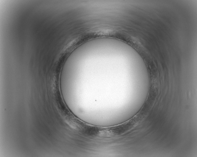 X0000067000591200604072151