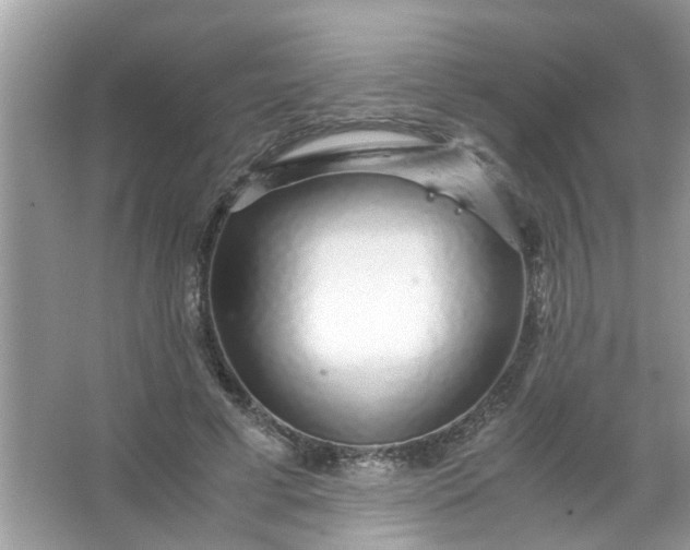 X0000067000593200604072151