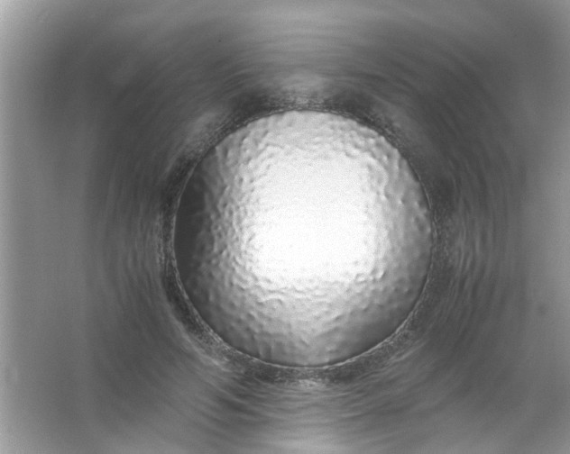 X0000067000594200604072151