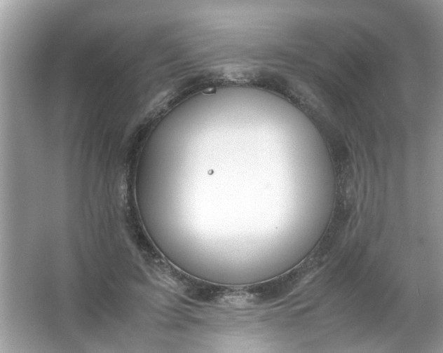 X0000067000595200604072151