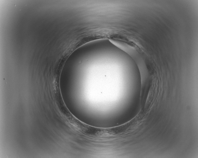 X0000067000597200604072151