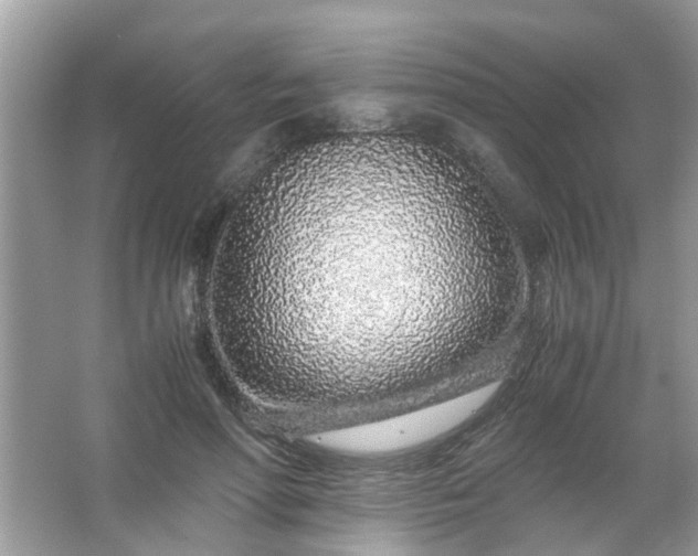 X0000067000598200604072151