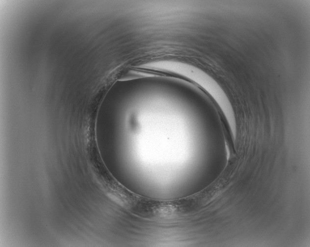 X0000067000600200604072151