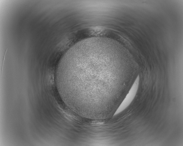 X0000067000602200604072151