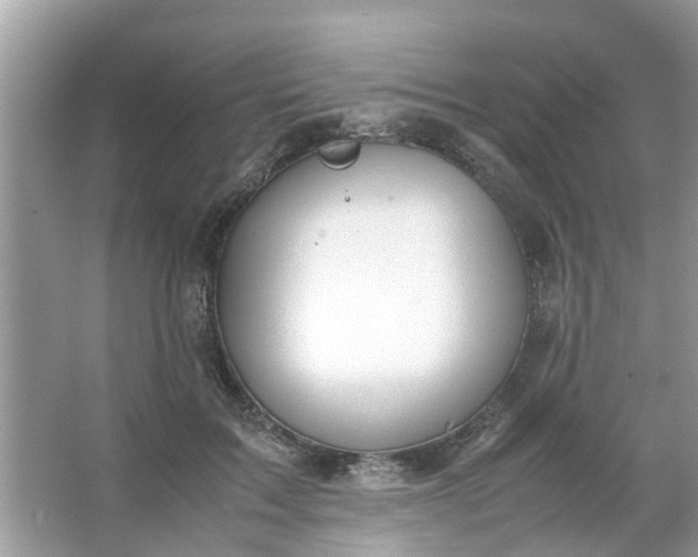 X0000067000603200604072151